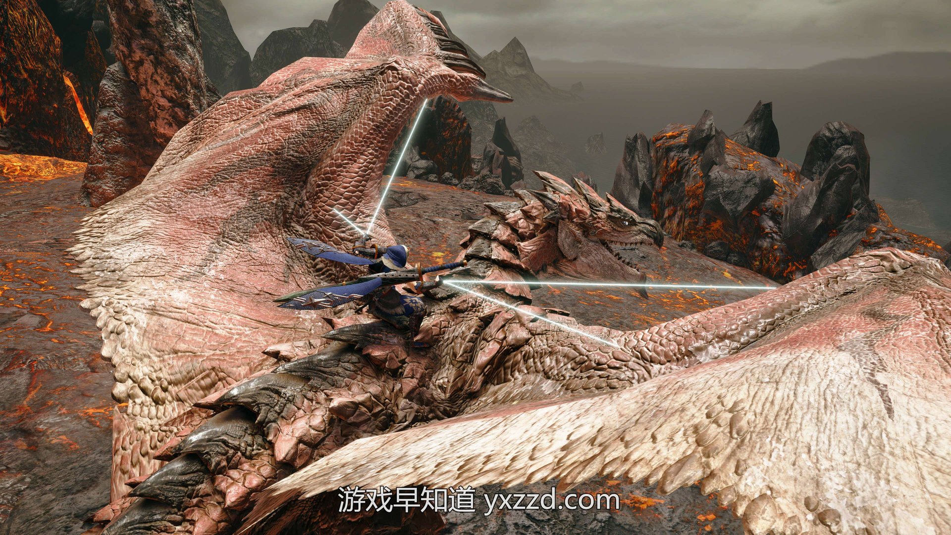 空洞骑士 豪华版 截图14