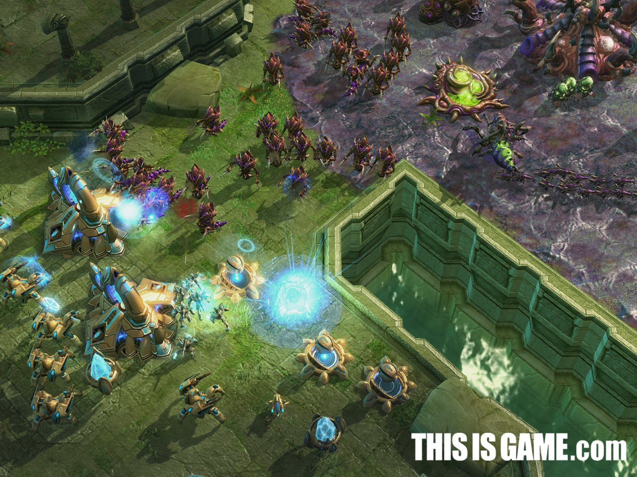 空洞骑士 豪华版 截图19