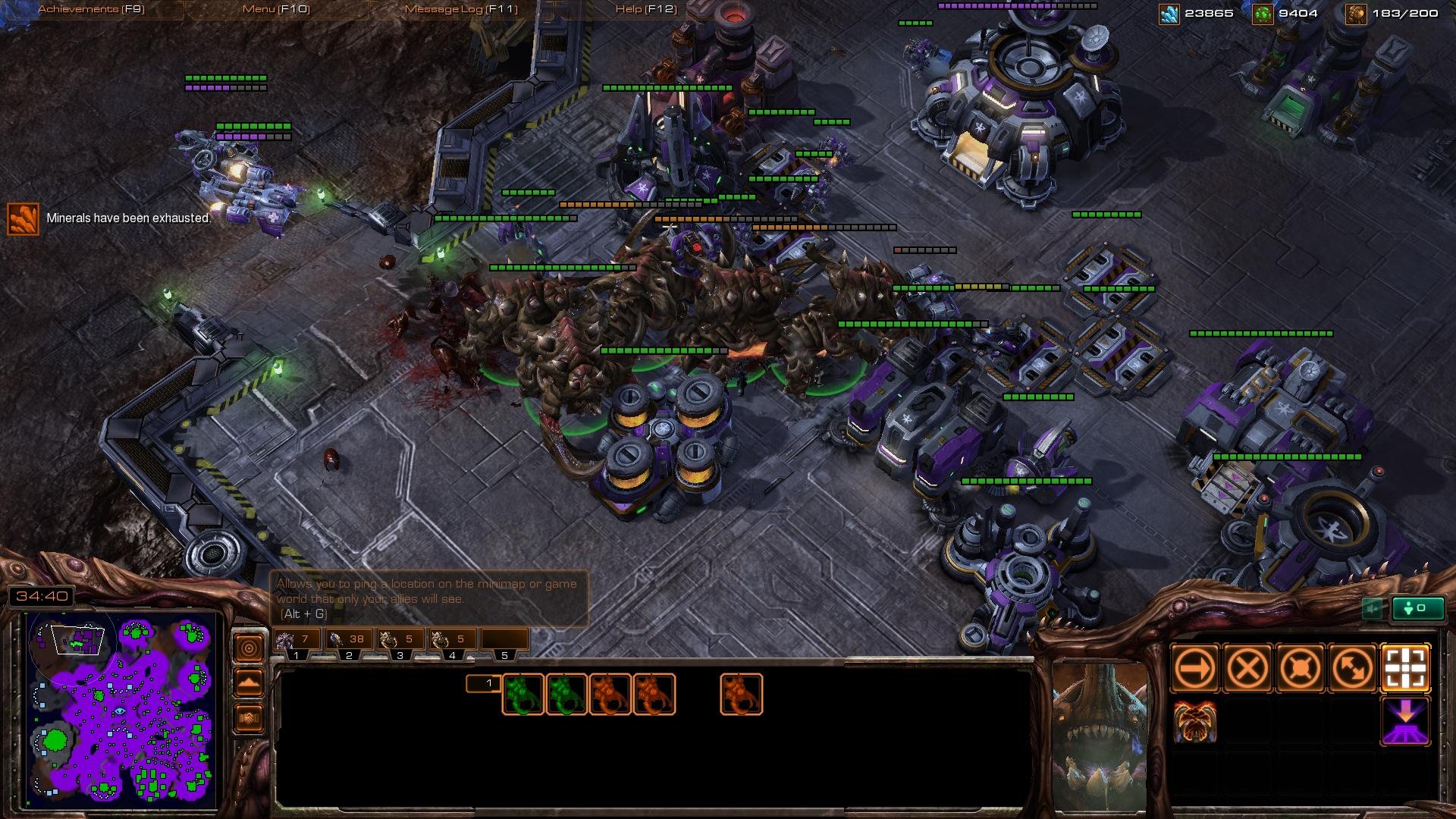 空洞骑士 豪华版 截图23